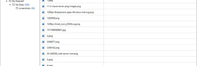 4n6 BKF Repair screenshot