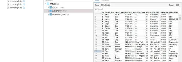 4n6 DBinvestigator screenshot