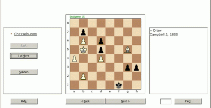 857 Chess Endgame Puzzles screenshot
