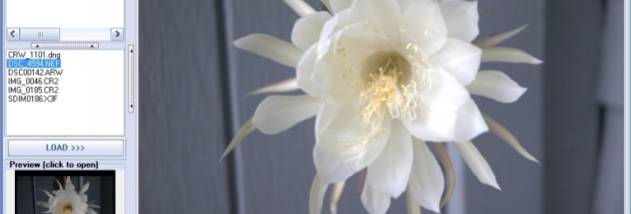 Able RAWer screenshot