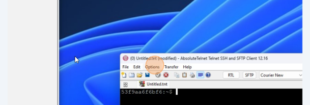 AbsoluteTelnet screenshot