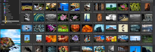 ACDSee Free screenshot