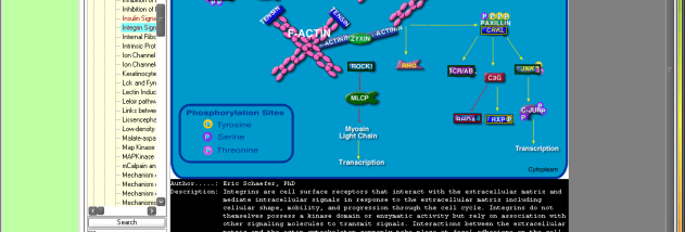 Advanced Pathway Painter screenshot