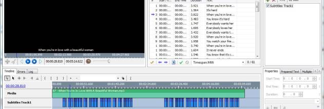 AHD Subtitles Maker Professional screenshot