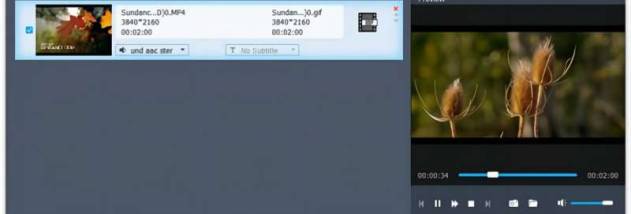 Aiseesoft Video to GIF Converter screenshot