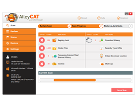 AlleyCAT Junk Remover screenshot