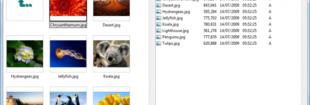 Altap Salamander (x64 bit) screenshot