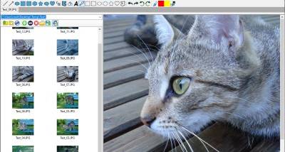 Alternate Pic View screenshot