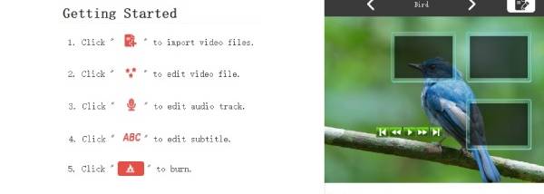 AnyRec DVD Creator screenshot