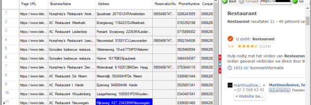 Anysite Scraper screenshot