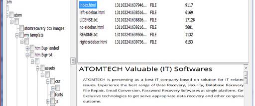 Atom TechSoft Data Recovery Solutions screenshot