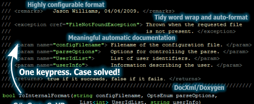 Atomineer Pro Documentation screenshot