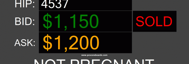 Auction Tote Board screenshot