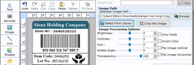 Barcode Generator MSI Plessey screenshot