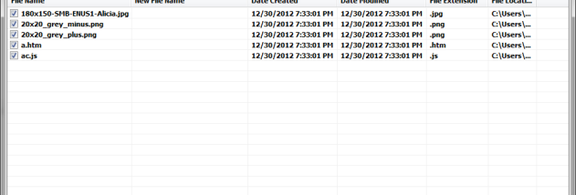 Batch File Renamer screenshot