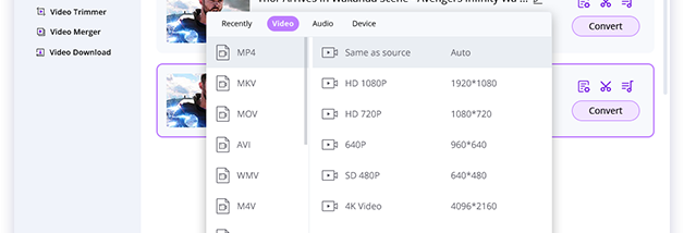BeeConverter Pro screenshot