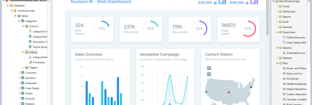 BI Studio screenshot