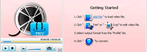 Bigasoft MKV Converter screenshot