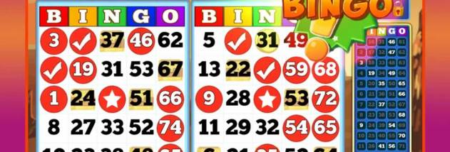 Bingo! for PC Download screenshot