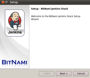 BitNami Jenkins Stack screenshot