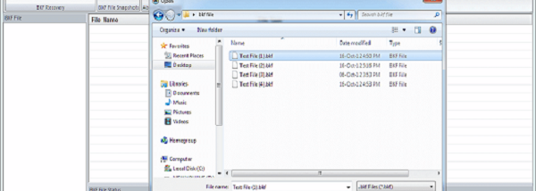 BKF Repair Wizard screenshot