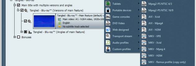 Blu-ray to MKV screenshot