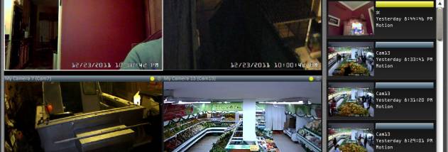 Blue Iris screenshot