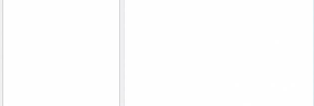 Boachsoft Bizcom screenshot