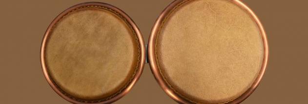 Bongo Windows UWP screenshot