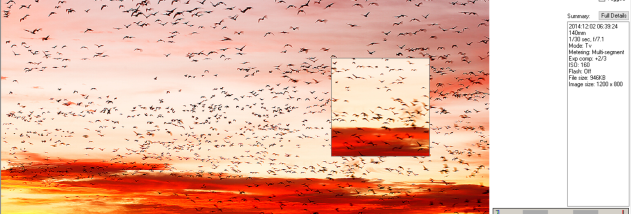 BreezeBrowser Pro screenshot