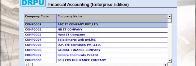 Business Managing Financial Program screenshot