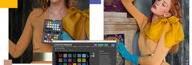 Calibrite PROFILER screenshot