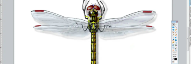 Canvas X Draw Windows screenshot