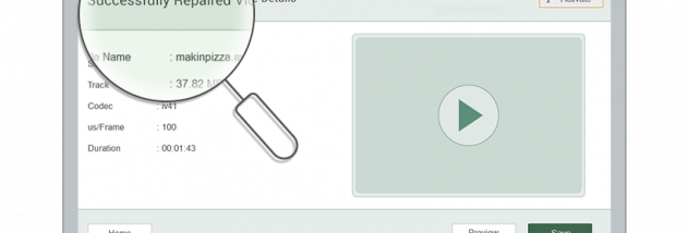 CAT Video Repair screenshot