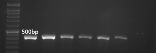 Clipboard Studio screenshot