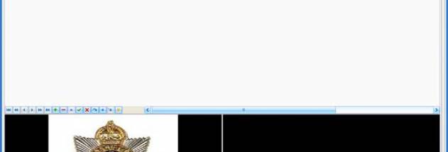 Compass Collectables Badges and Patches screenshot