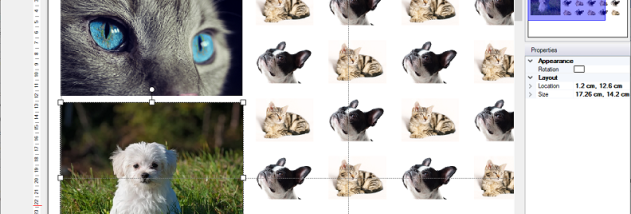 Coragi ImagePrint screenshot