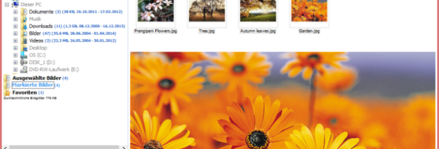 cPicture (x64 bit) screenshot