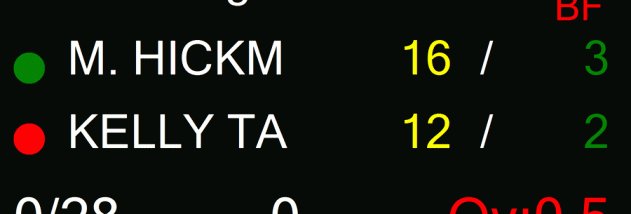 Cricket Scoreboard Pro screenshot