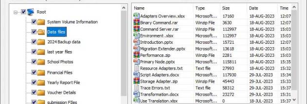 Data Restore Software screenshot