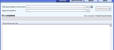 DataNumen Oracle Recovery screenshot