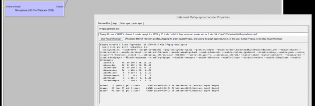 Datastead DirectShow Multiplexer to FFmpeg command-line screenshot