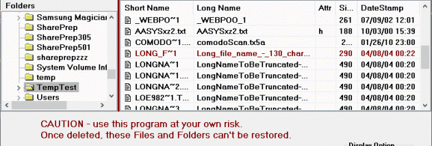 DelinvFile screenshot