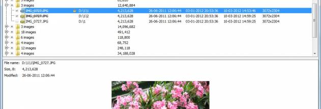 Detwinner screenshot