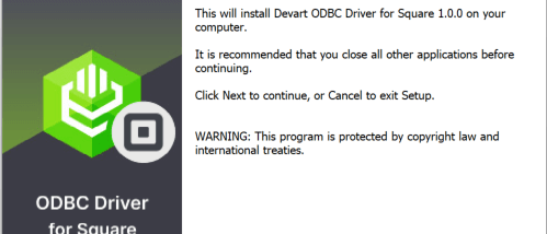 Square ODBC Driver by Devart screenshot