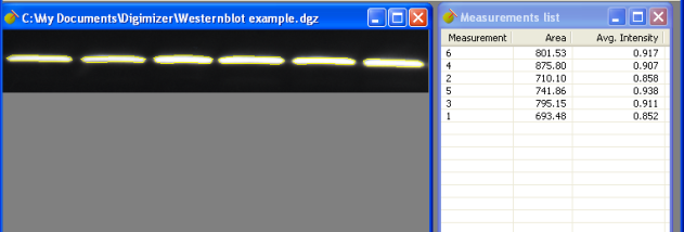 Digimizer screenshot