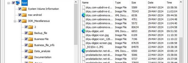 Digital Media Recovery Software screenshot