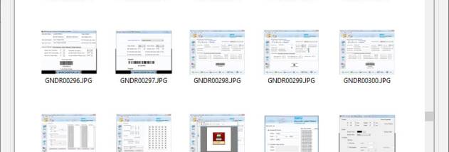 Digital Photo Picture Recovery Software screenshot