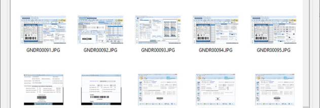 Digital Picture Recovery Software screenshot