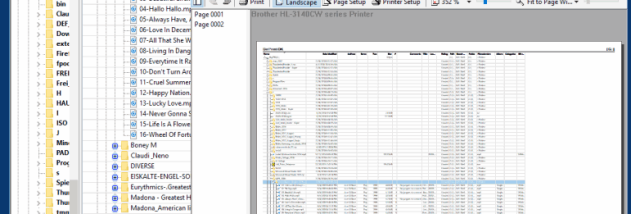 DirPrintOK screenshot